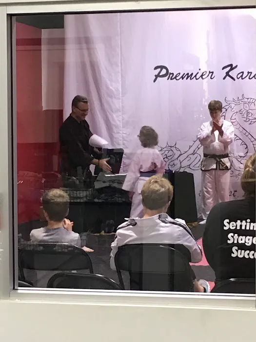 Premier Karate Picture 2