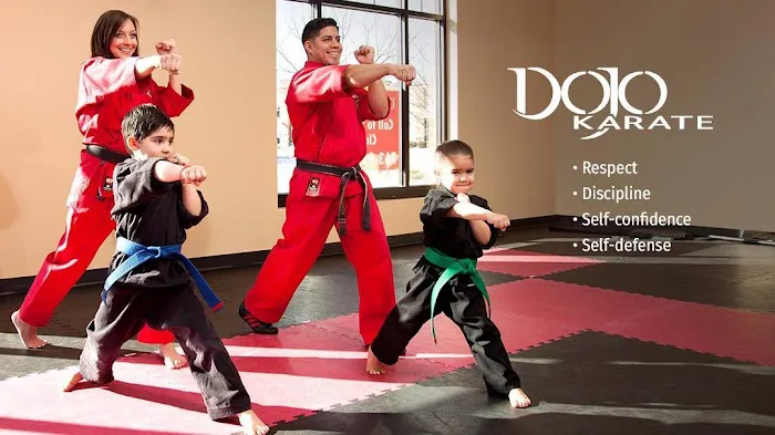Dojo Karate - Maple Grove Picture 1