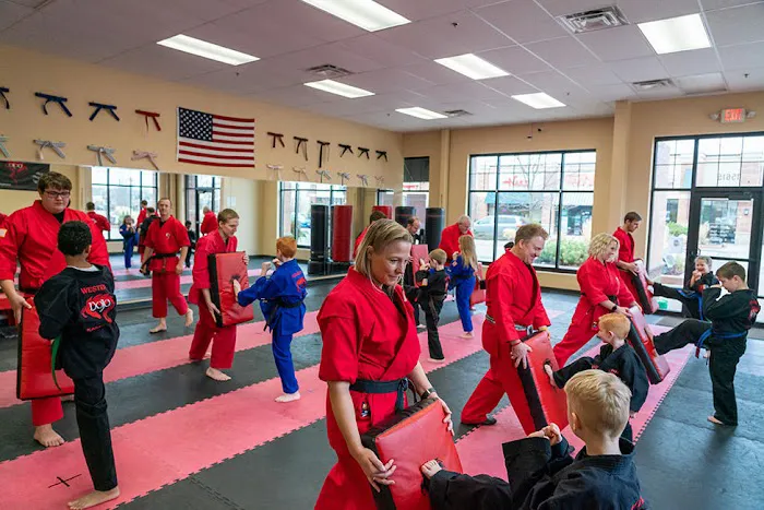 Dojo Karate - Maple Grove Picture 3