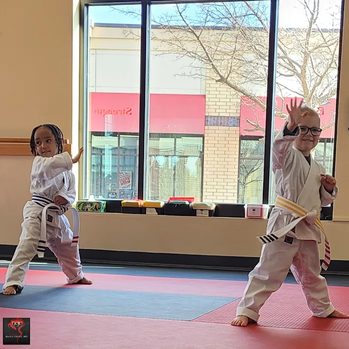 Dojo Karate - Maple Grove Picture 10