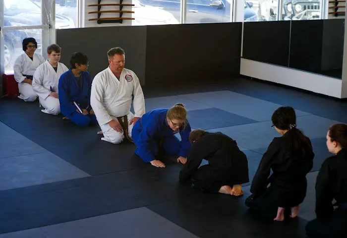 Metro Karate & Jiu Jitsu Academy Picture 5