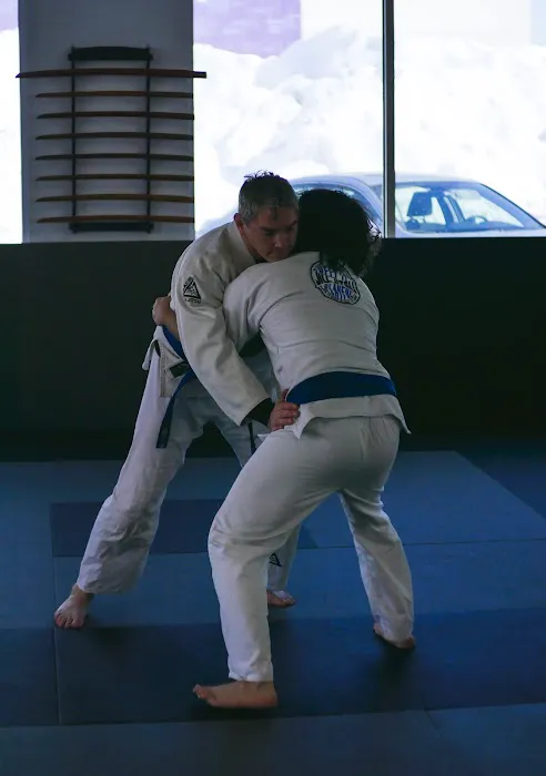 Metro Karate & Jiu Jitsu Academy Picture 6