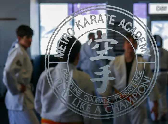 Metro Karate & Jiu Jitsu Academy Picture 4