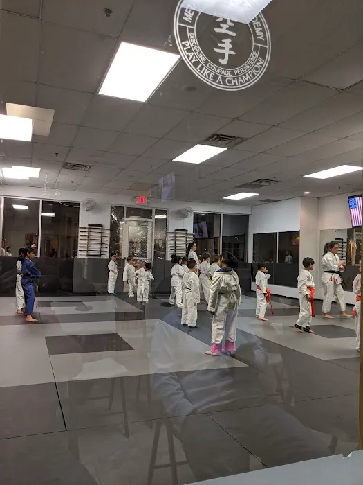Metro Karate & Jiu Jitsu Academy Picture 7