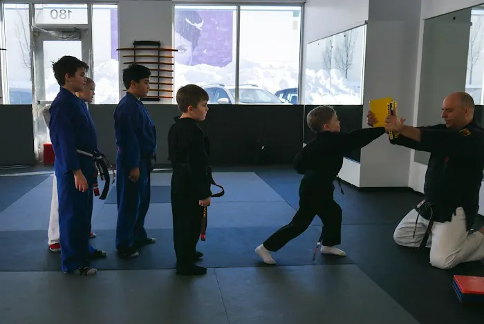 Metro Karate & Jiu Jitsu Academy Picture 3