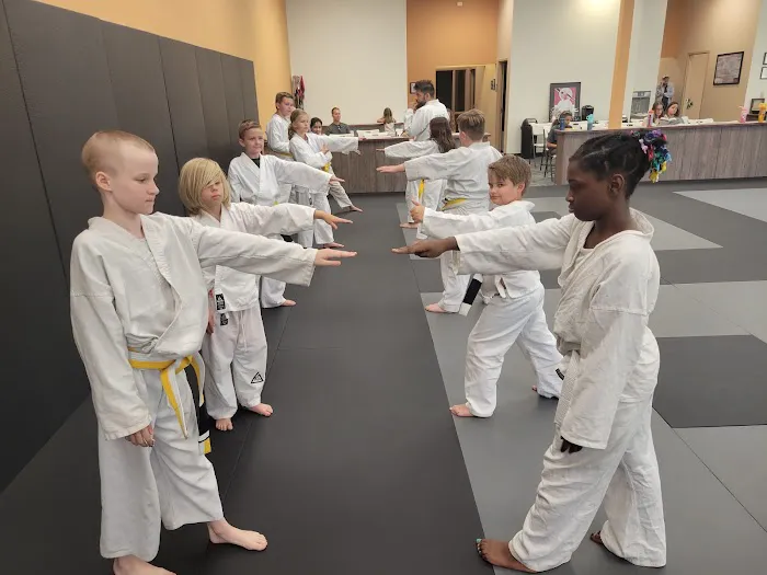 Metro Karate & Jiu Jitsu Academy Picture 10