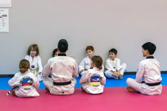 World Tae Kwon Do Center - Chanhassen Martial Arts Picture 5