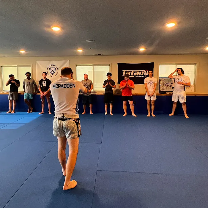 Atheneum Martial Arts Picture 3