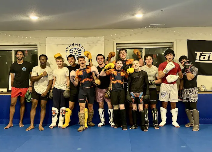 Atheneum Martial Arts Picture 8