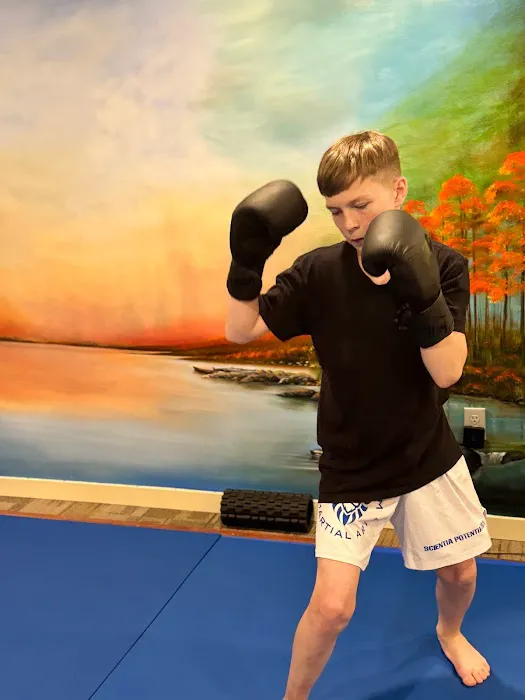 Atheneum Martial Arts Picture 7