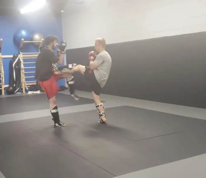 Advanced Martial Arts Picture 3