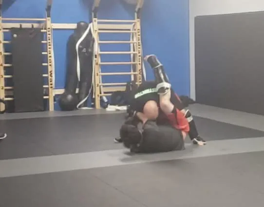 Advanced Martial Arts Picture 2