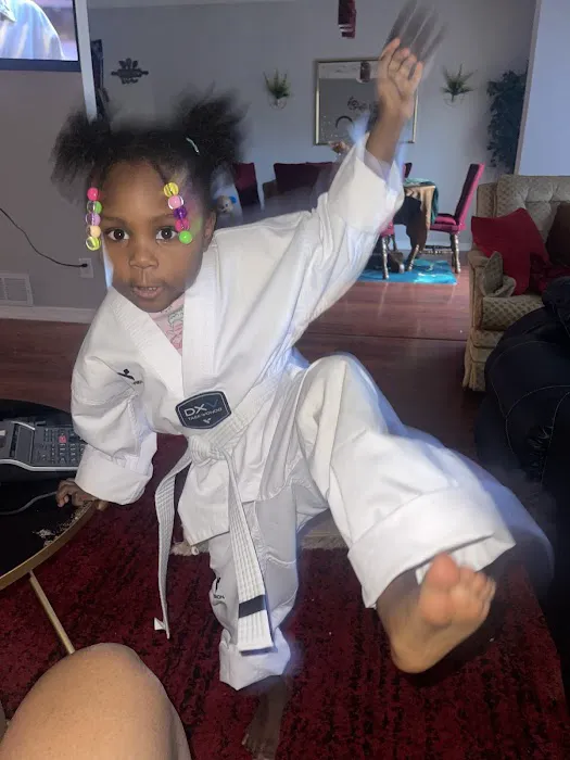 World Taekwondo Academy Picture 2