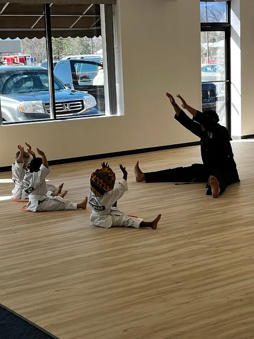 World Taekwondo Academy Picture 4