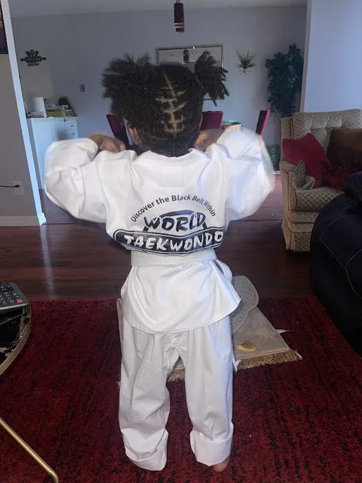 World Taekwondo Academy Picture 3