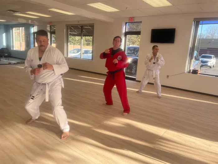 World Taekwondo Academy Picture 6