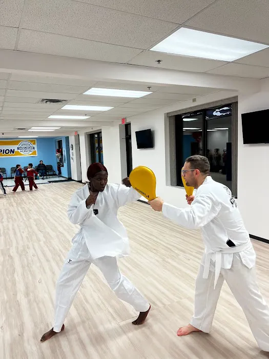 World Taekwondo Academy Picture 7