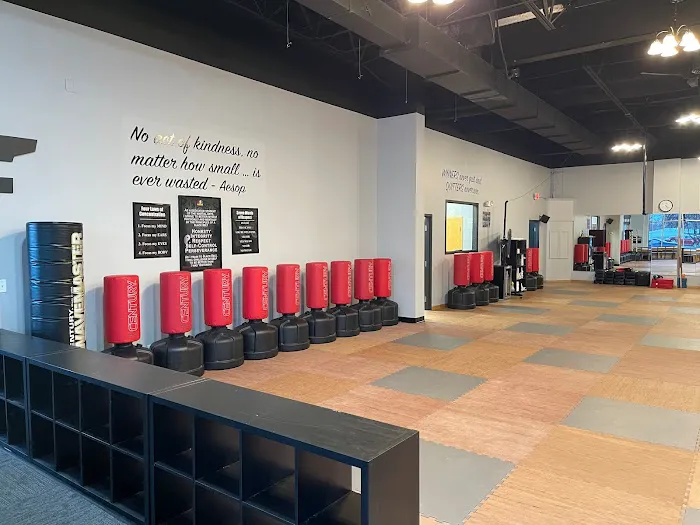 USA Karate Rosemount Picture 2