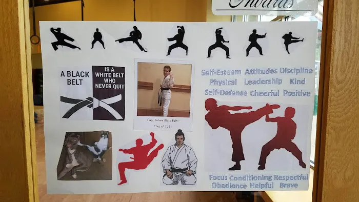 USA Karate Rosemount Picture 1