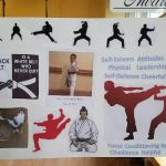 USA Karate Rosemount