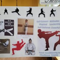 USA Karate Rosemount ico