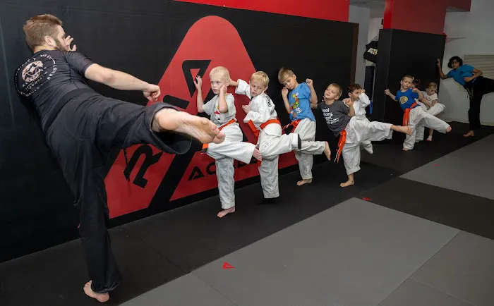 Rosemount Martial Arts Academy Picture 2