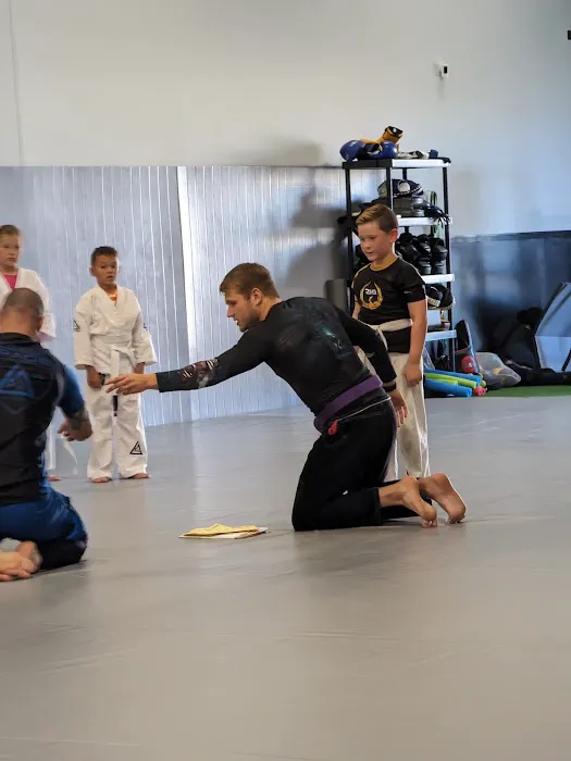Resilience Martial Arts - Gracie Jiu-Jitsu Lakeville Picture 3