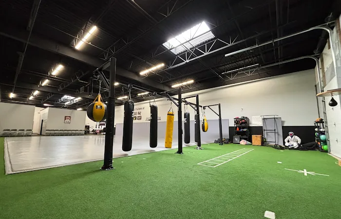 Resilience Martial Arts - Gracie Jiu-Jitsu Lakeville Picture 10