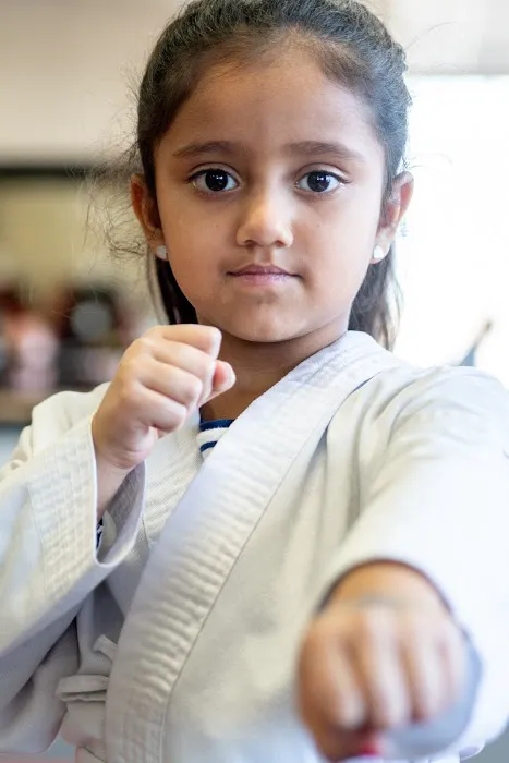 K1 Karate Picture 2
