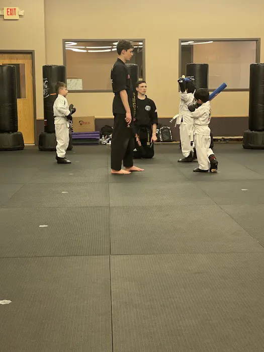 Singewald’s ATA Family Martial Arts Picture 1