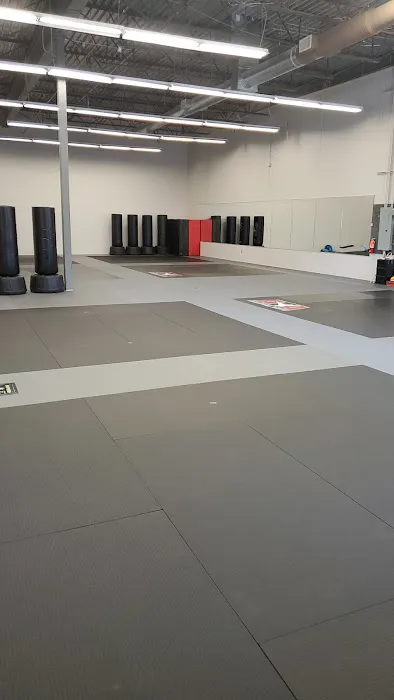 Singewald's ATA Family Martial Arts Picture 1