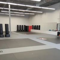 Singewald's ATA Family Martial Arts ico