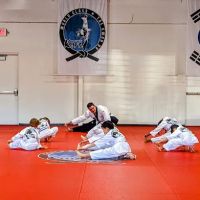 Master Kim's World Class Tae Kwon Do ico