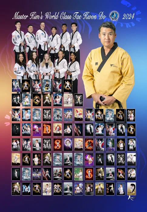 Master Kim's World Class Tae Kwon Do Picture 4