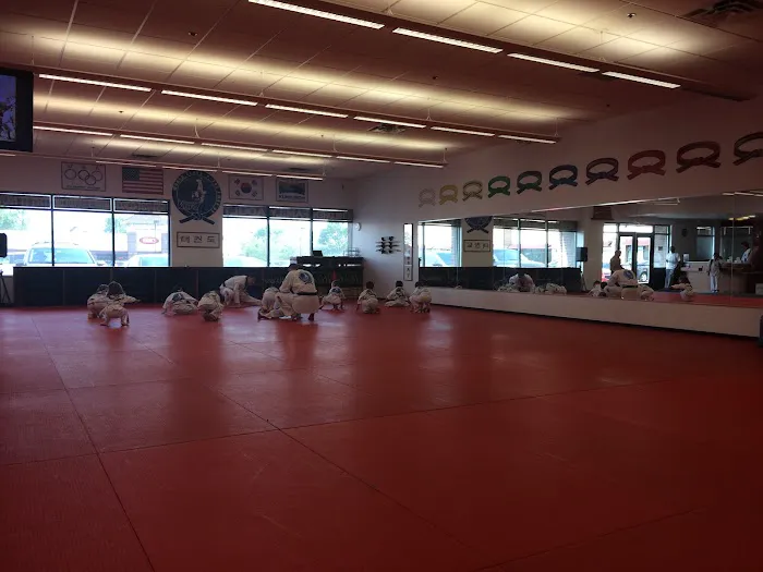 Master Kim's World Class Tae Kwon Do Picture 3