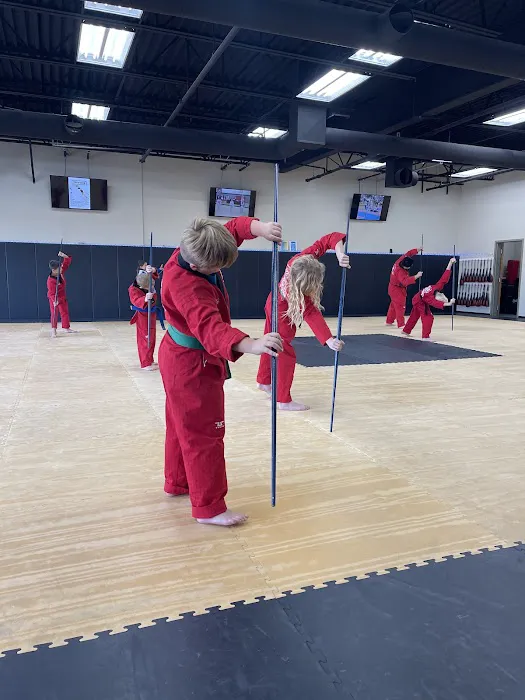 World Taekwondo Academy Rogers Picture 2