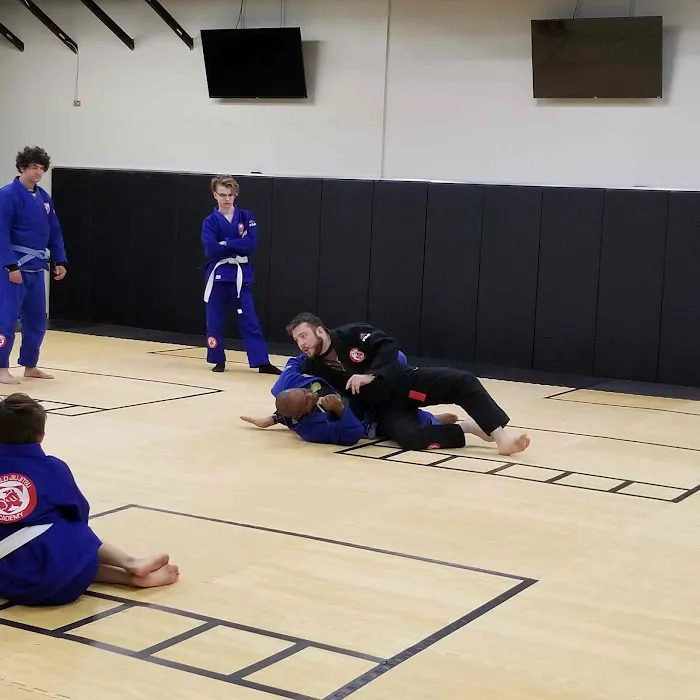 World Taekwondo Academy Rogers Picture 4