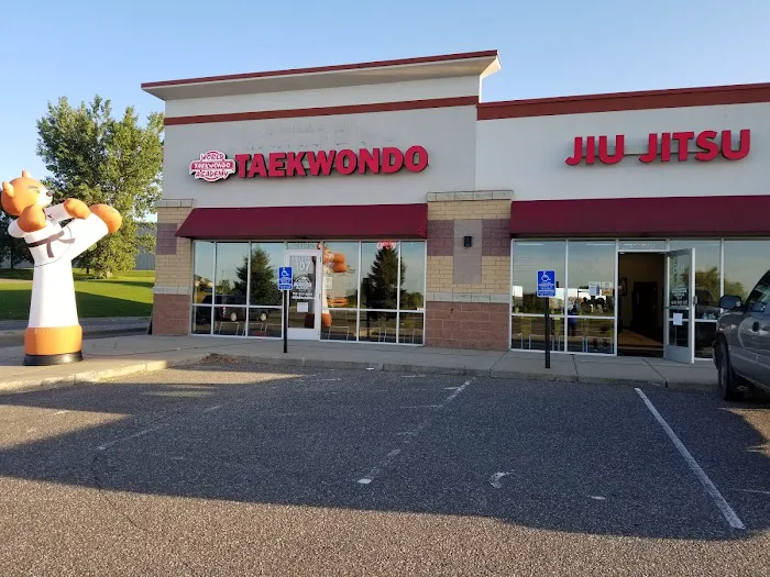 World Taekwondo Academy Rogers Picture 9