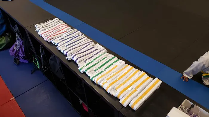 USA Karate Shakopee Picture 10