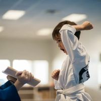 Master Moon's Tae Kwon Do ico