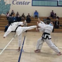 Kim’s ACTA Tae Kwon Do ico