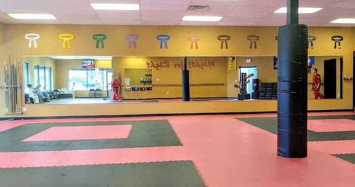 National Karate Academy of Martial Arts Cottage Grove Picture 2