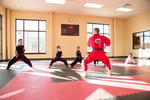 Dojo Karate - Rogers Picture 4