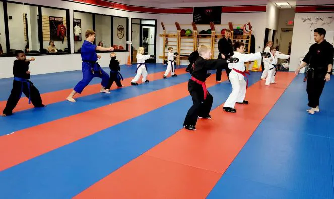 Dojo Karate - Rogers Picture 5