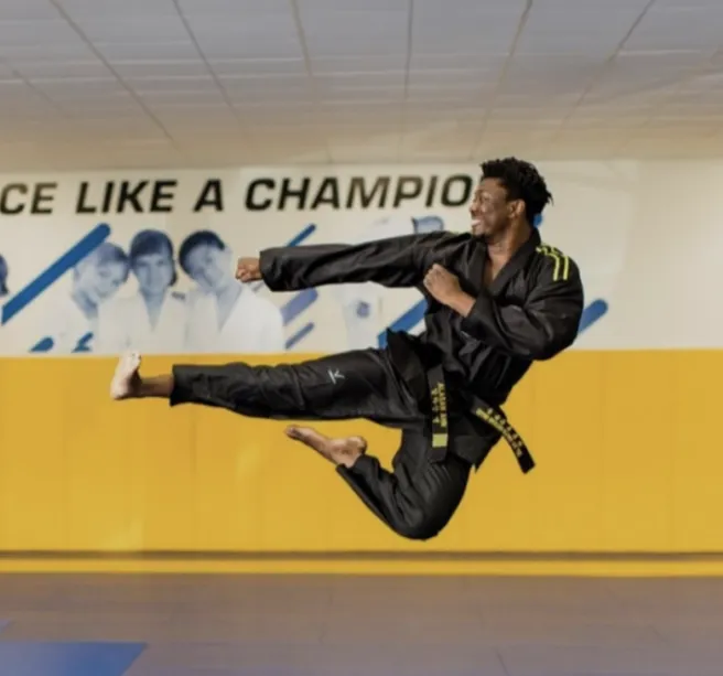 World Taekwondo Academy Picture 4