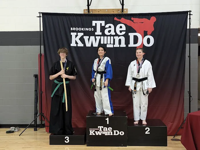 World Taekwondo Academy Picture 3