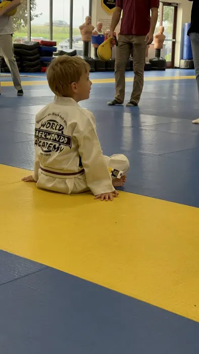 World Taekwondo Academy Picture 5