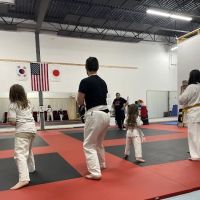 Ultimate Martial Arts ico