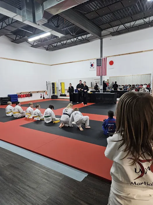 Ultimate Martial Arts Picture 4