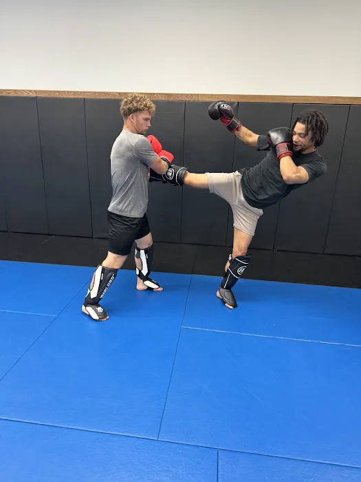 Roots Mixed Martial Arts Picture 8